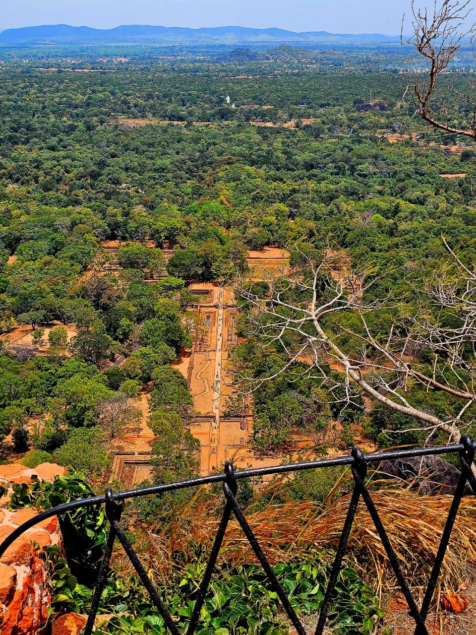 Sigiriya rock rising above the forest